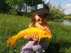 15-17.05.2015